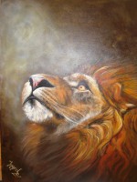 /album/fotogalerie/img-1372-jpg1/