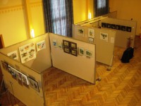 /album/visuell-ohriginell/img-7853-jpg/